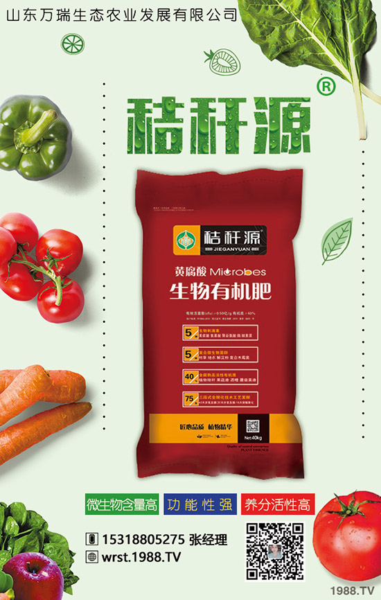     2020�괺��(ji��)������2019�������������r(ji��)��C�Ϸ�����(b��o)�棡