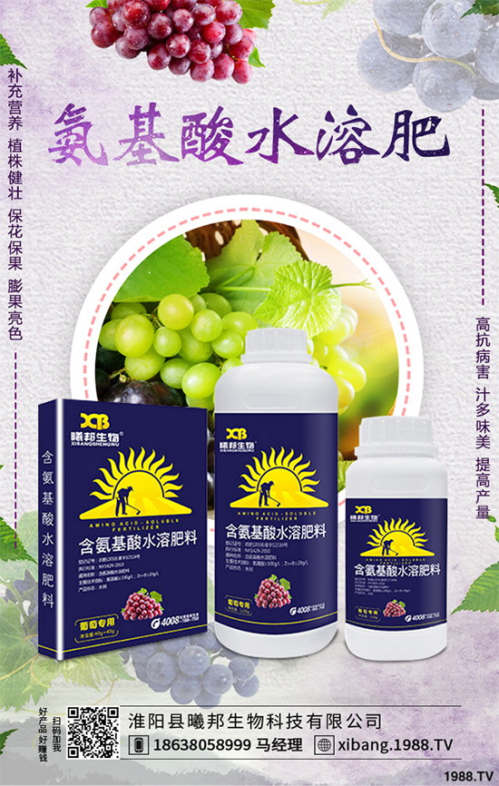 ����Nֲʲô��ٍ�X��2020���ߴ�ٍ�X�Nֲ�(xi��ng)Ŀ����������ɣ�