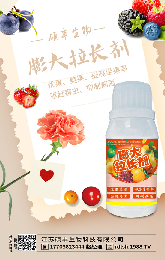 大棚西芹怎么種植？西芹的種植環(huán)境要求！