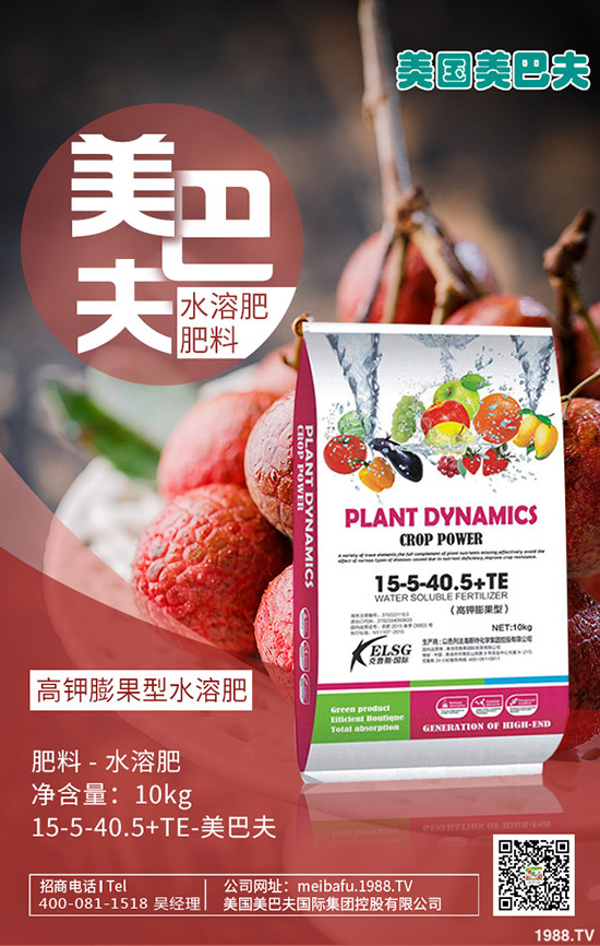 構(gòu)樹產(chǎn)地在哪里?種植構(gòu)樹國家還補(bǔ)貼!2020構(gòu)樹種植前景如何?賺錢嗎?