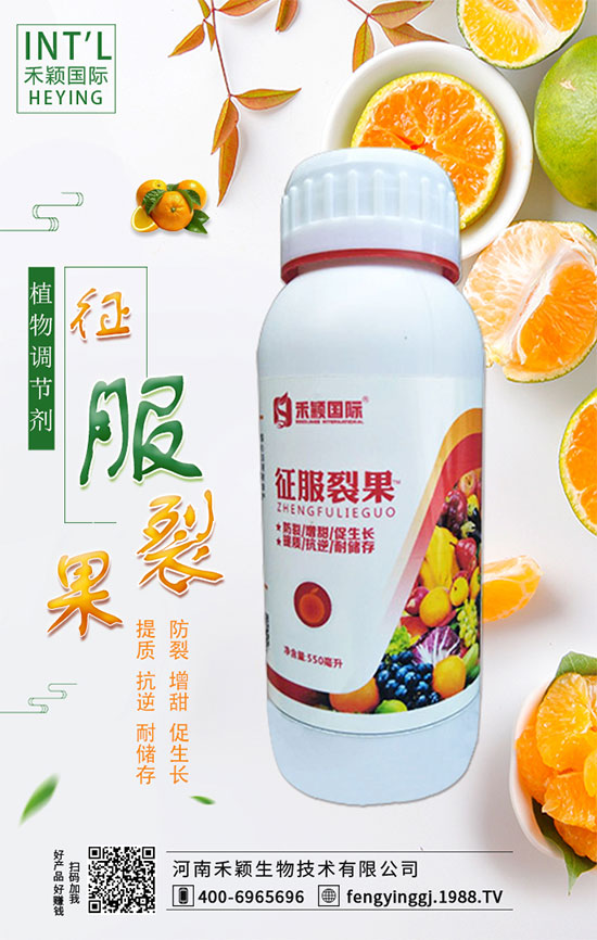 ľ����ʲô�r�g�Nֲ��ľ���˷Nֲ������