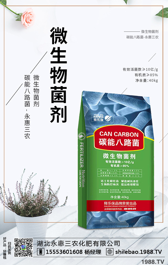 2020����÷�ķNֲǰ���������÷�r������Xһ�