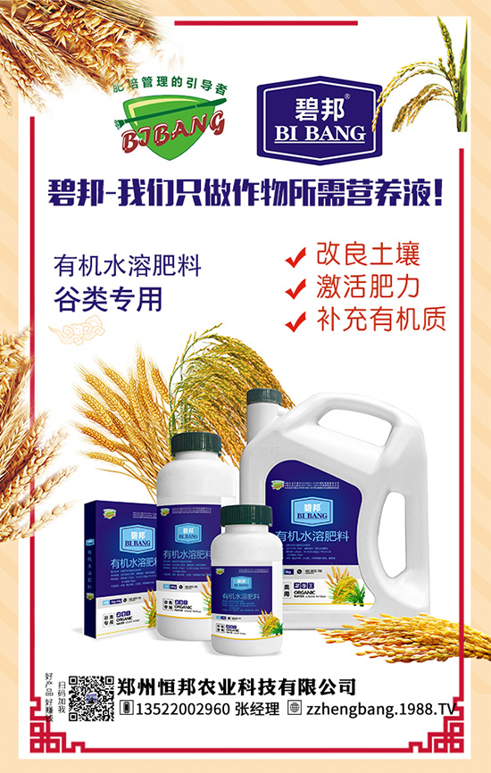 ����������Щ��̎������Ĺ�Ч���ü�ʳ�ý���