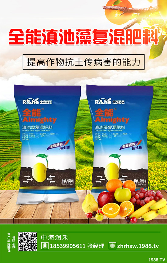 ���r����͸���������Щ�^(q��)�e���ǂ�Ч�����ã�