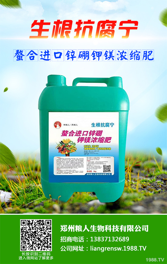 ���r����͸���������Щ�^(q��)�e���ǂ�Ч��������