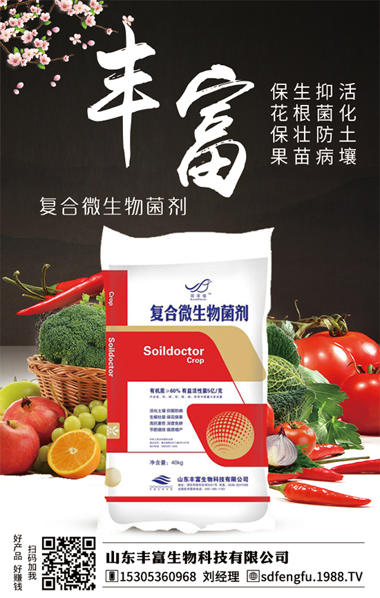 枇杷什么時(shí)間嫁接比較好?嫁接的枇杷樹(shù)幾年結(jié)果?(枇杷樹(shù)嫁接方法)