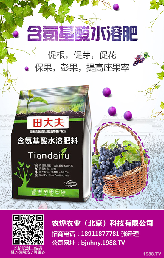 ��ѩ�^(gu��)�����߲˴�����֪��ԓ��ô�������