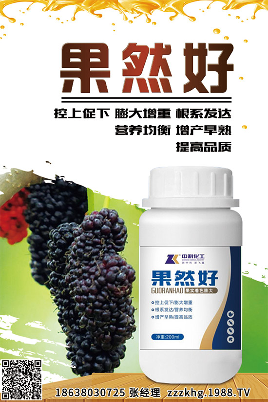 ��ɏ����Щ�I�B(y��ng)�r(ji��)ֵ����ɏ�Ĺ�Ч���ü�ʳ�÷���