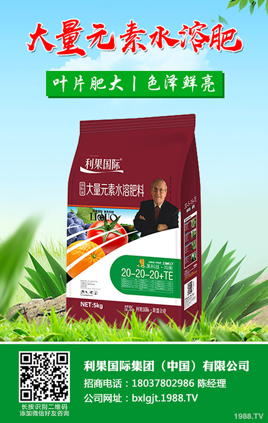 ���FƤʯ����ʲô��̎���FƤʯ���Ĺ�Ч�c��������Щ