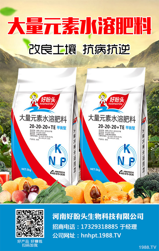 ������֪���Ľ�ɏ���p���ų����w11�N������