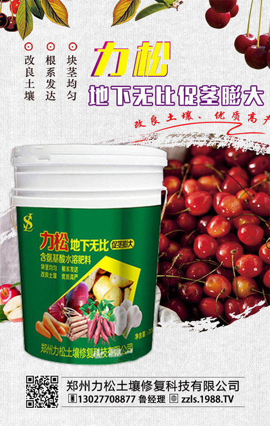     2019-12-4二銨冬儲推進(jìn)動(dòng)力不足！二銨價(jià)格行情分析快報(bào)！