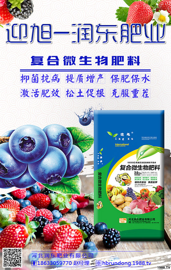 ���@��ʲô���݄��������@������ô�x����݄���