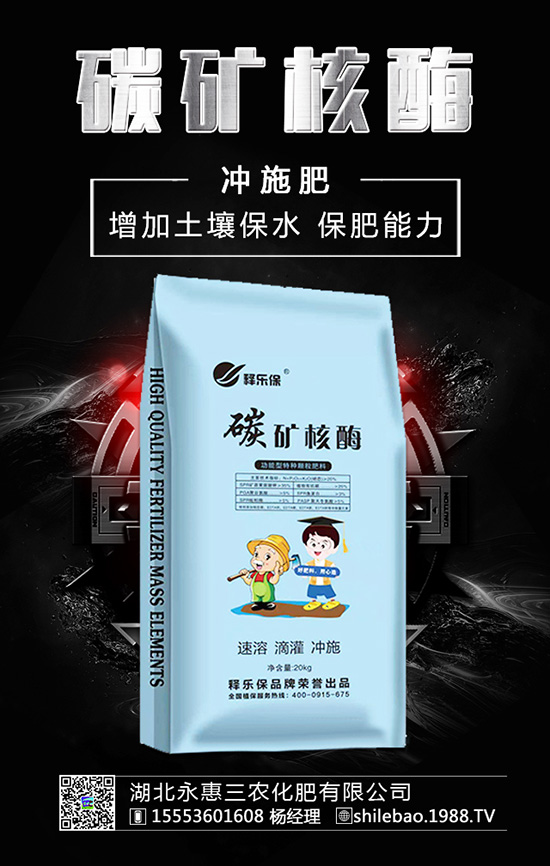 �����롰���������������ʲ����^�L������������