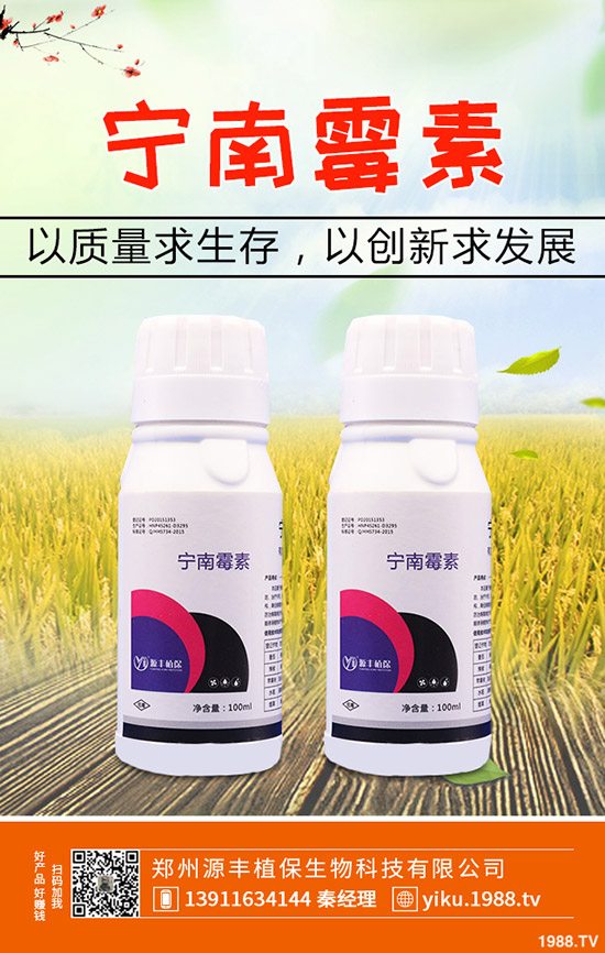 ����ķNֲǰ����ô��������ķNֲ���g(sh��)����Щ��