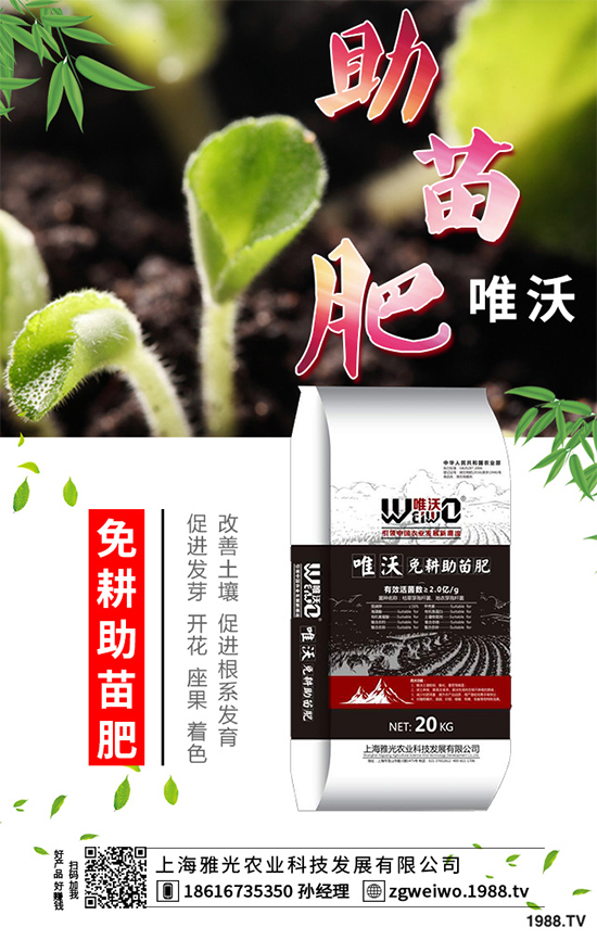     ɽˎʲô�r(sh��)�������ɽˎ���A�ط�������Щ��