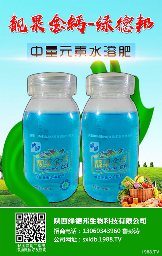 �����߲�����ЩƷ�N�������߲˵ķNֲ�l����ע�����