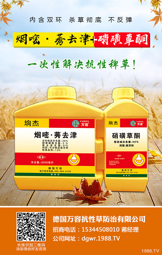 ������Nֲ�ļ���(ji��)�����Ӹ߮a(ch��n)�NֲҪ�c��