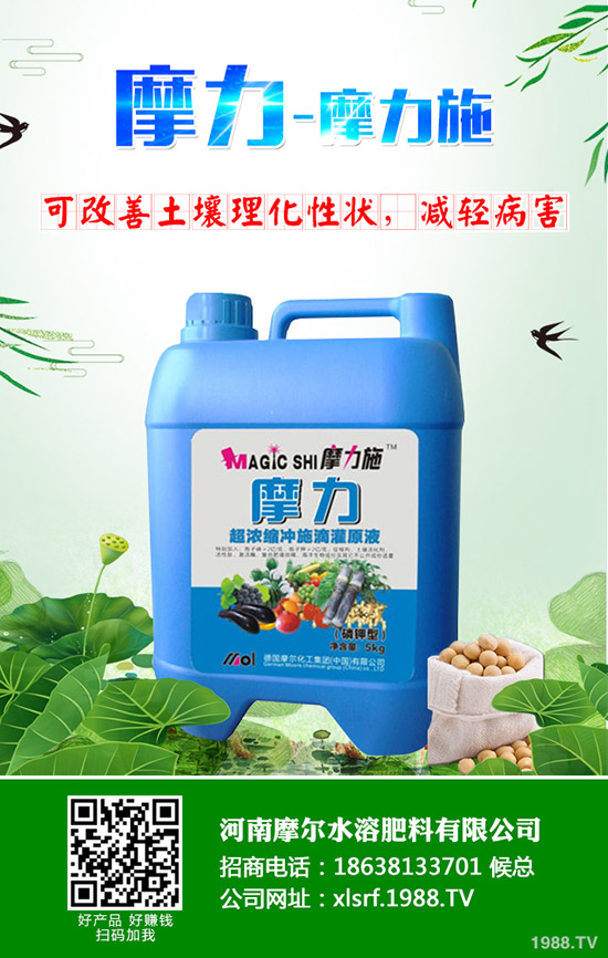 �����ʲô���Ϻ������ʩ�ʼ��g(sh��)����Щ��