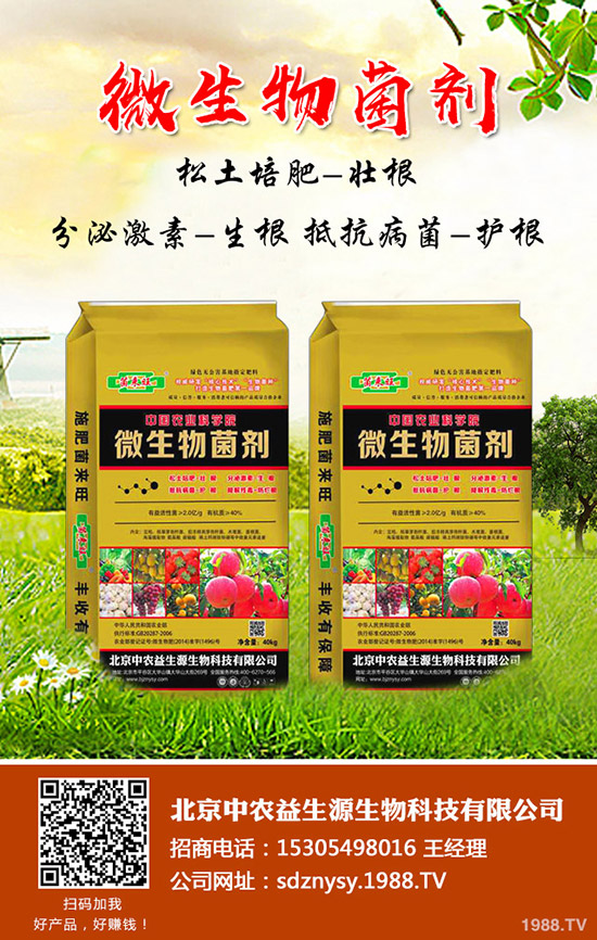     ���؃r���ٴ��ϝq��2019��12��9�ո��؅^(q��)�����������S��r