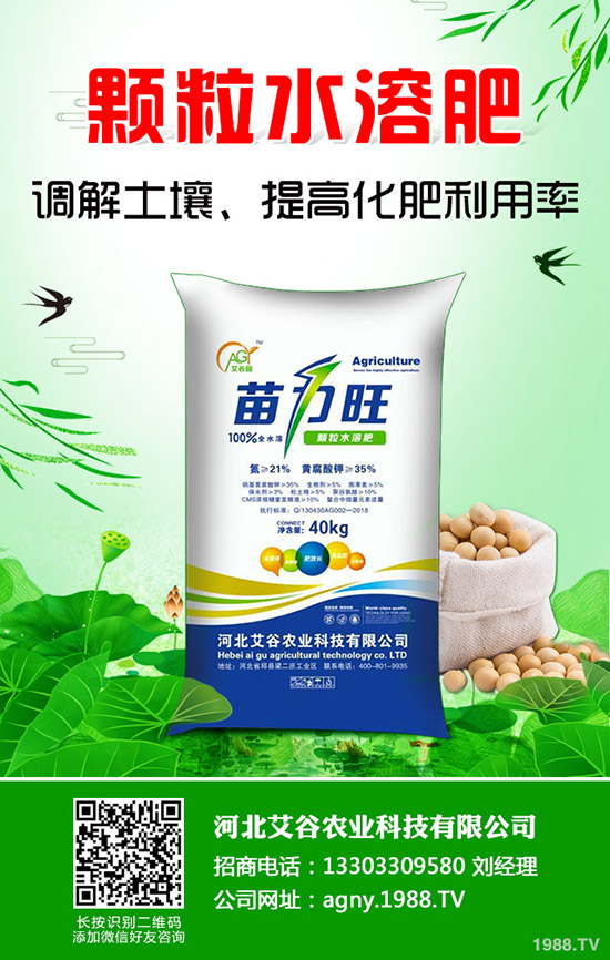 ���Ĳ�����ʩ�ʮa(ch��n)���������Ĳ�ʩ�ʼ�������Щ��