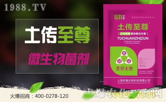 �Ϻ��S�������ٶȔy��1988.TV���y���ل�(chu��ng)���x����