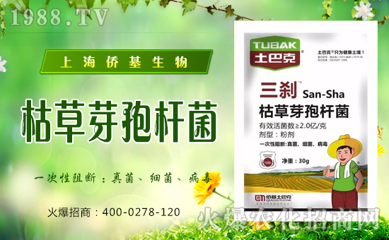 �Ϻ��S�������ٶȔy��1988.TV���y���ل�(chu��ng)���x����