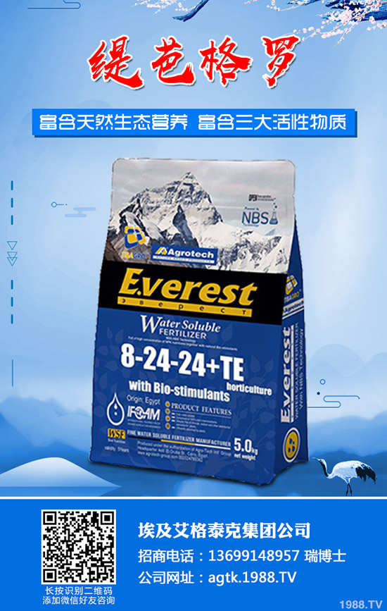 ����ʲô�r�g�������������緽��