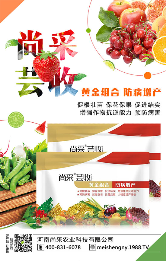 ���������ʵ͵�ԭ����ʲô�أ�������������������