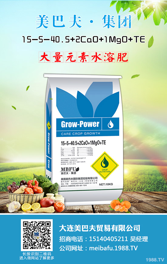     ���ڇ���(n��i)�Ј����@�r�������߄ݷ����������A(y��)�y2019��8��24��