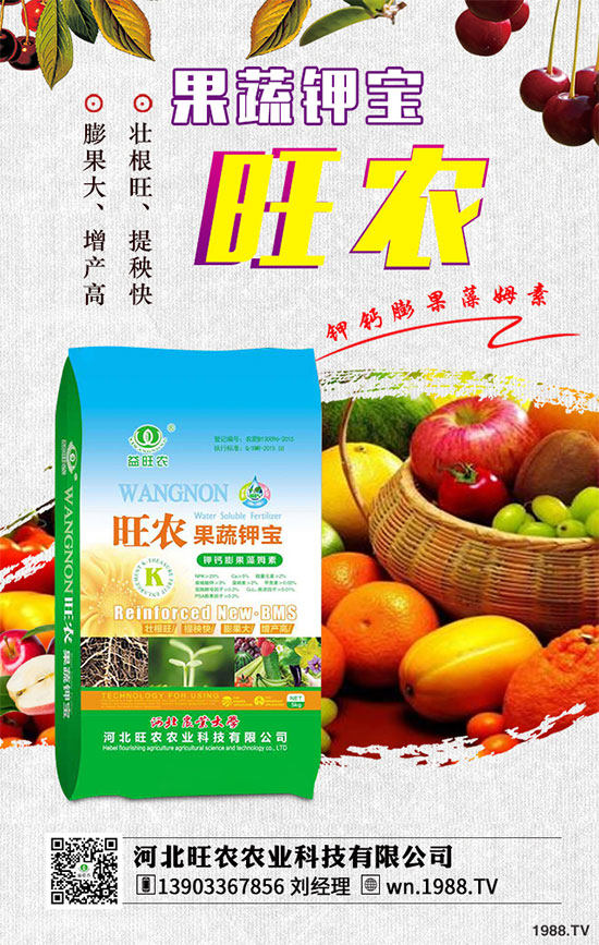 2019年8月26日今日尿素價格行情日報最新尿素企業(yè)出廠參考價一覽