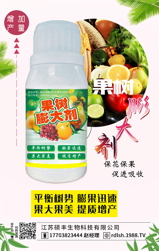 ��ľ���Ĺ�Ч�c��������ľ�����ʳ��������Щ��