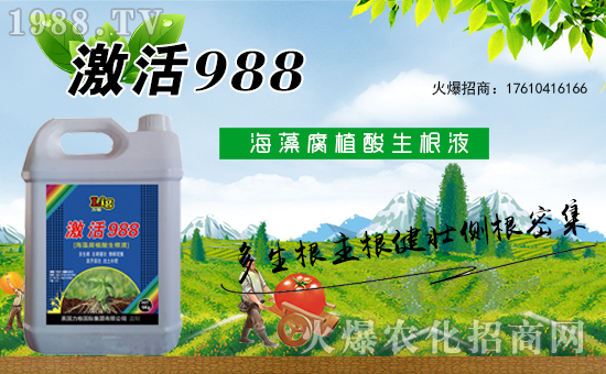 Ӣ��(gu��)�����ٶȔy��1988.TV���y�ֹ���(chu��ng)��(zh��n)��(j��)���ل�(chu��ng)�x����