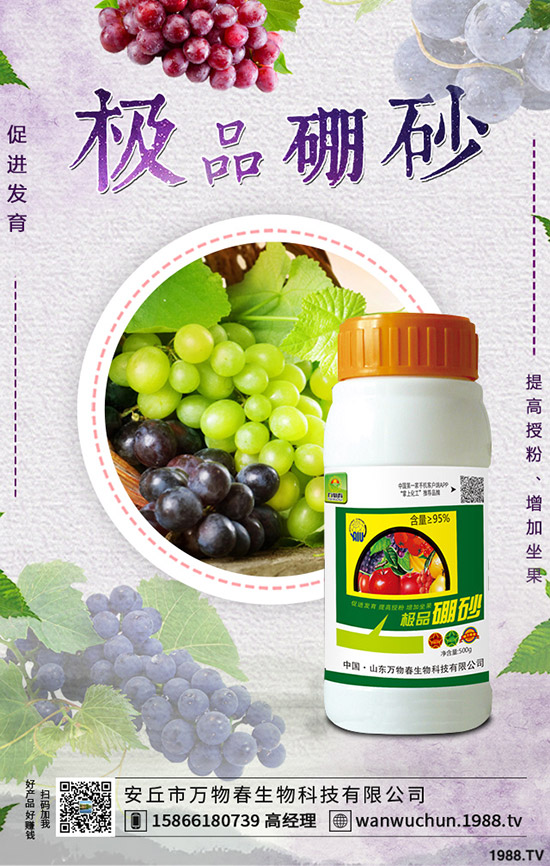 �����ηNֲ����轷Nֲ�l������Щ��