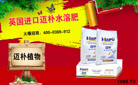 Ӣ���~���c���r(n��ng)���W(w��ng)���m(x��)ǰ�����y�ֹ���(chu��ng)���x����