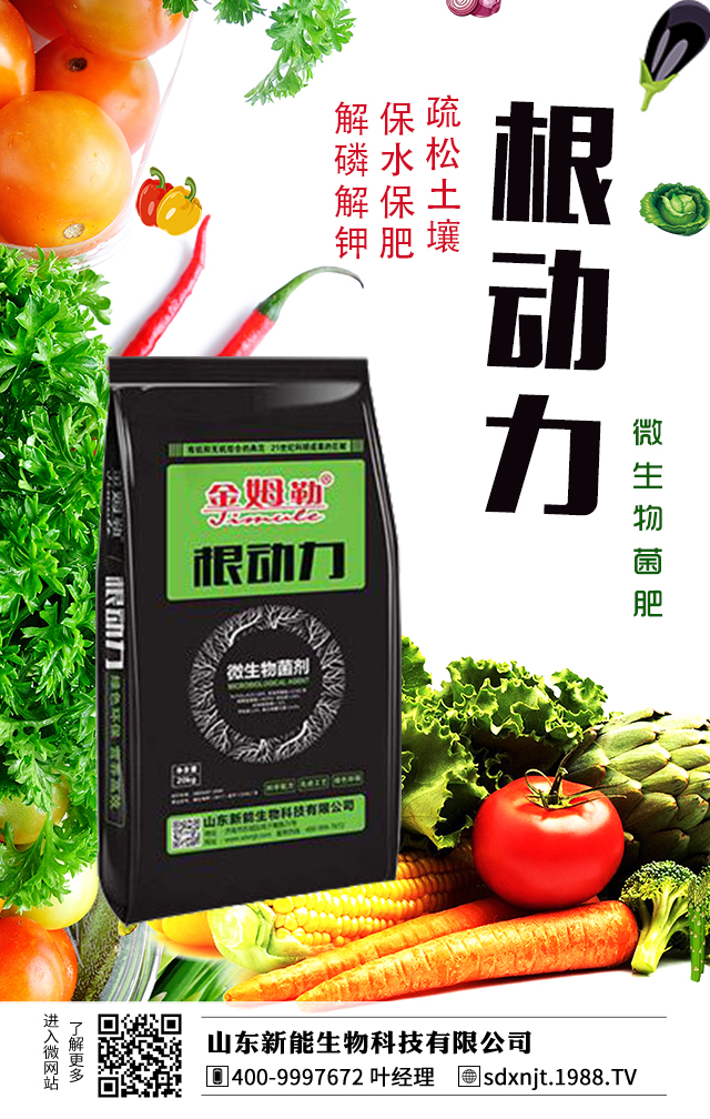 �R��������������νo�R���ʩ�ʣ�