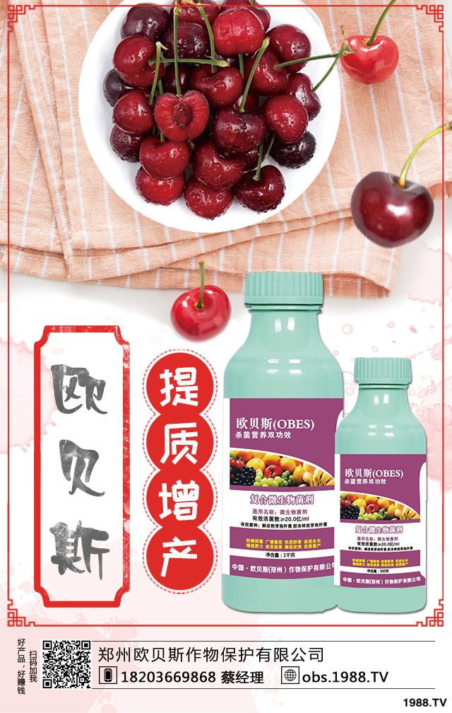 ��������ηNֲ������������༼�g