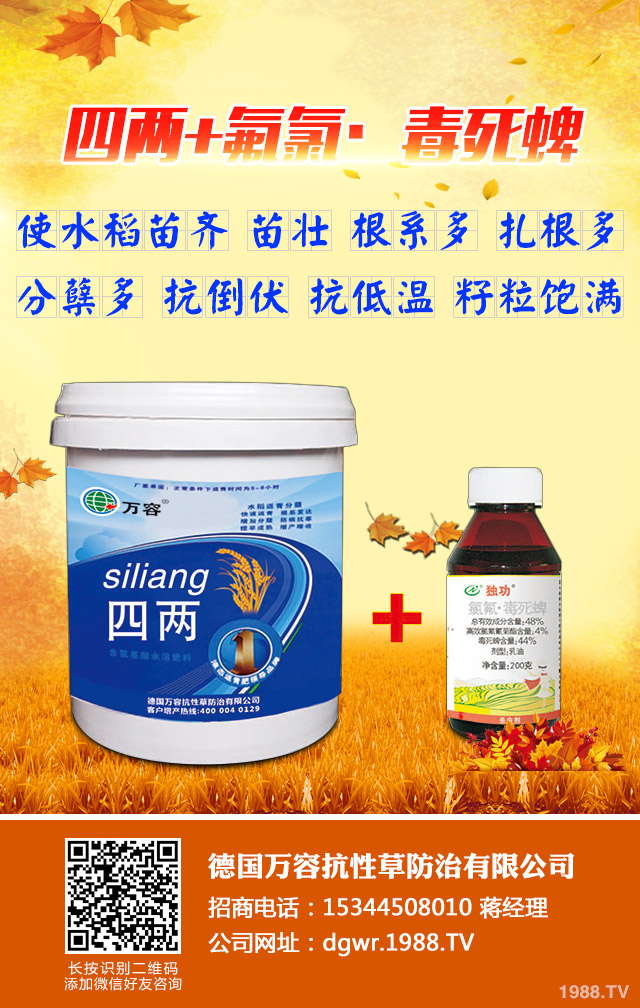 ��������݄�������Щ����������݄���B