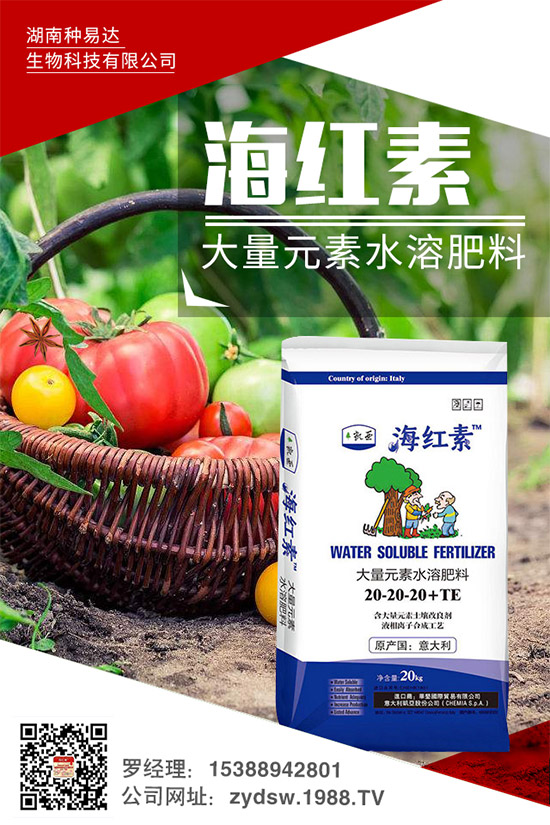 �＾��ݮ��ô�����＾�����ݮ�ĸ߮a(ch��n)���༼�g(sh��)���h(hu��n)��Ҫ��