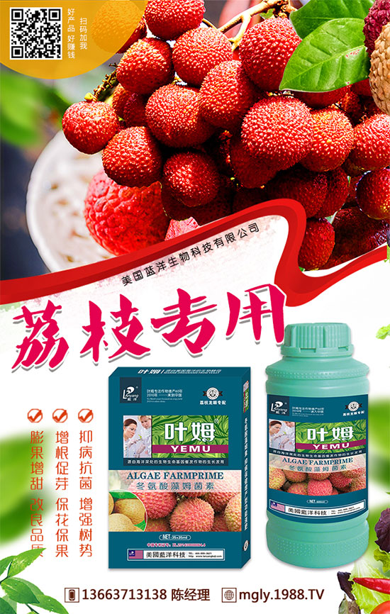 今日國內(nèi)復合肥價格行情及后市預測2019.8.29