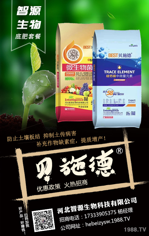 �Nֲ��횿������ǻ�����׷��ʩ�ʷ���