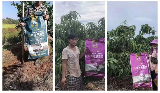 ��΢�������+�ЙC�ʡ�Ч��ţ����ʩһ���������ʡ���ָ߮a(ch��n)��