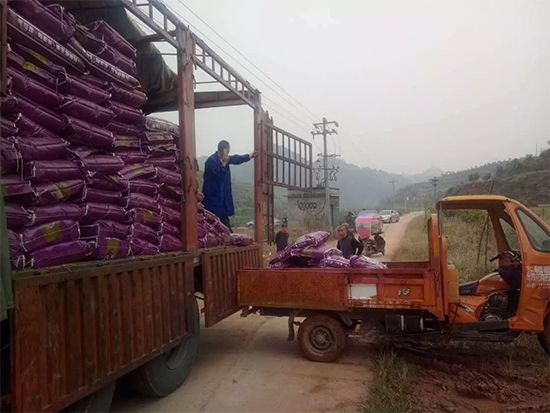 ��΢�������+�ЙC�ʡ�Ч��ţ����ʩһ���������ʡ���ָ߮a(ch��n)��