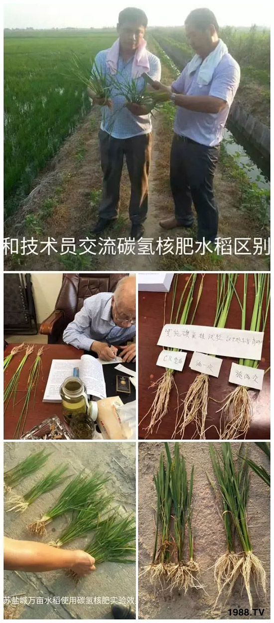 �ϰټ�ý�w��������쳬�^�W��ʳƷ��(bi��o)��(zh��n)���̼?x��)�˷ʾ����@ô����