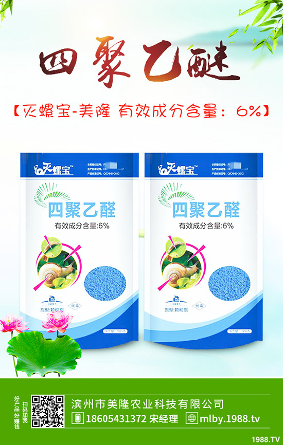 茄子該不該摘葉，茄子摘葉如何操作？