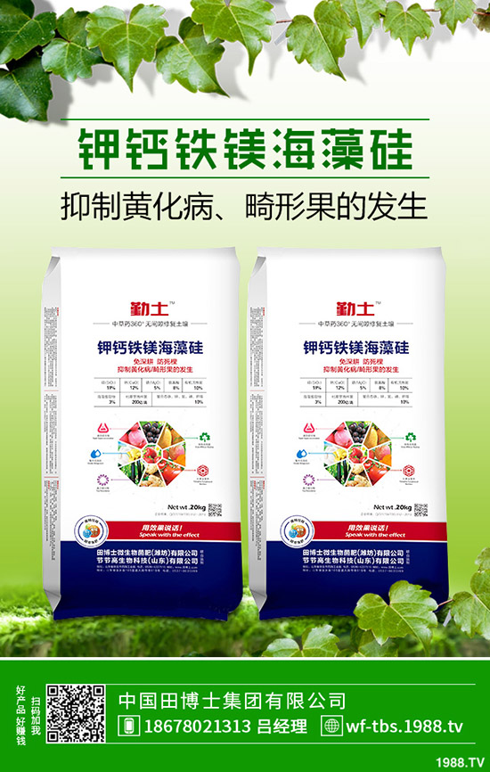 �ﶬ�����S����ηNֲ���ﶬ�S�ϵķNֲ����������������