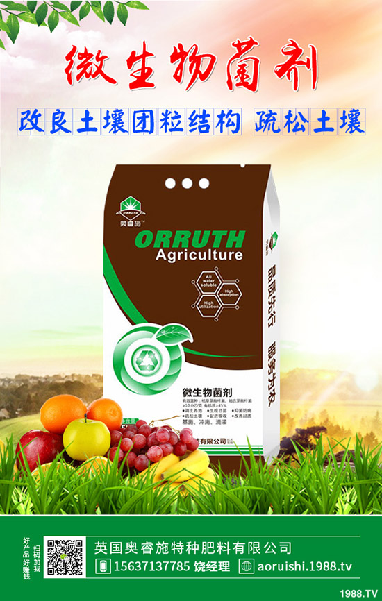     ������������������؃r�������߄ݷ���2019��9��11��