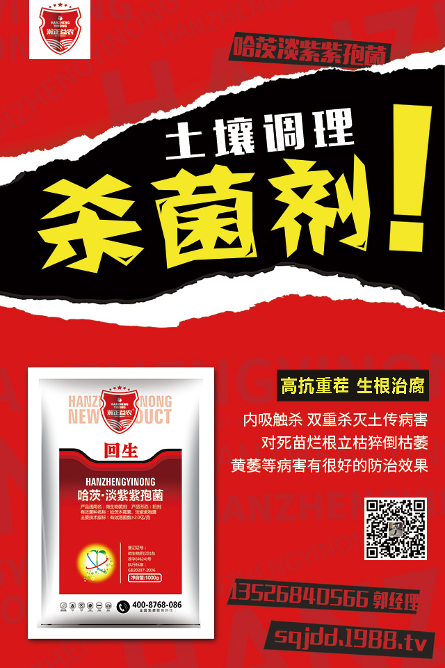 ��������������ô�k�����Ӽ޽ӿɱ�����������