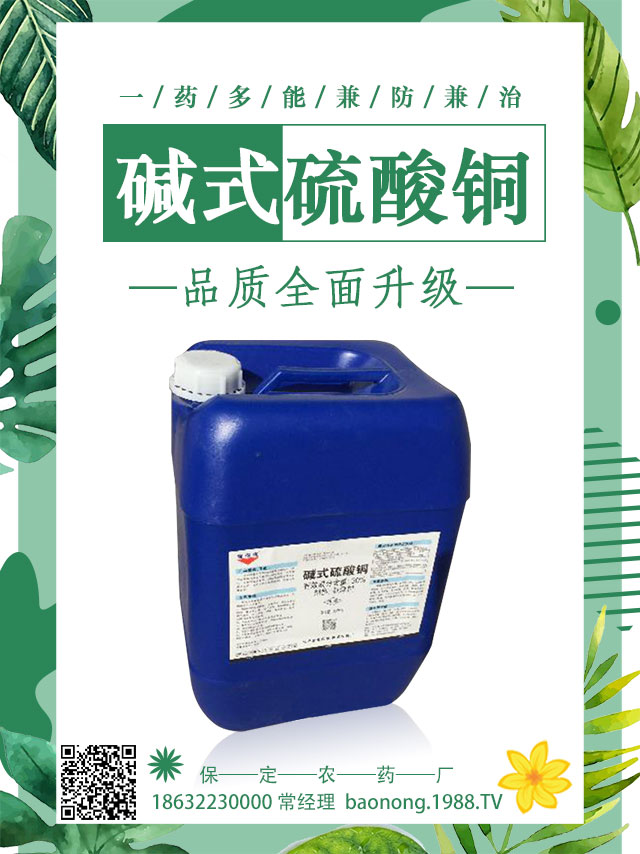 ��������������ô�k�����Ӽ޽ӿɱ�����������