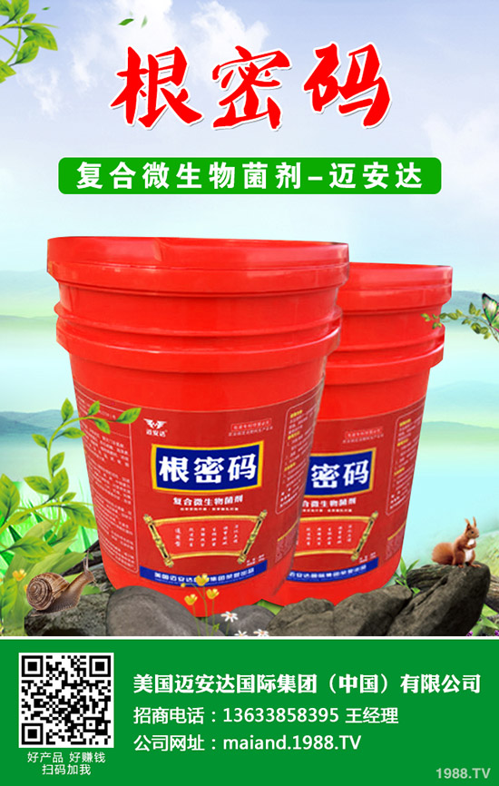 �����Jʲô�r��Nֲ�������J�Nֲ���g(sh��)��