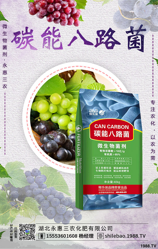     ����ʲô�r(sh��)��Nֲ���m�����˷Nֲ�r(sh��)�g���Nֲ�������g(sh��)��